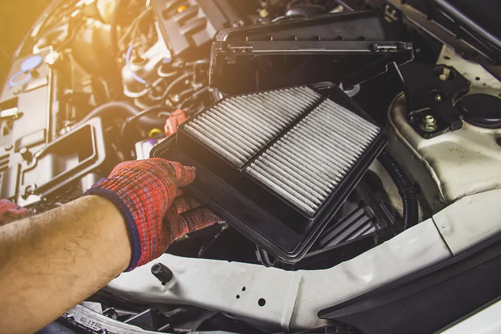 Why Your Vehicle Needs Filter and Fluid Service